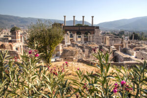 Ephesus-Ruins-in-Turkey-M