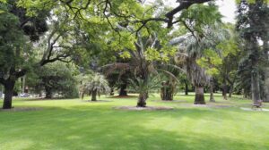 King's-Park-Perth-Western-Australia