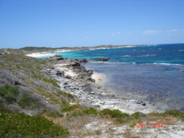 Rottnest-Island-Western-Australia